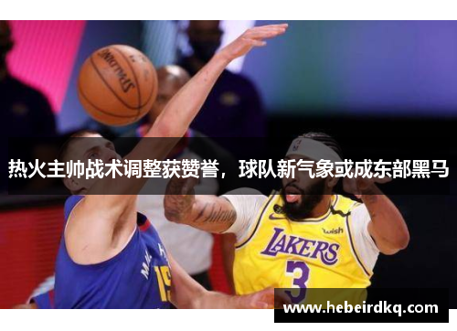 热火主帅战术调整获赞誉，球队新气象或成东部黑马