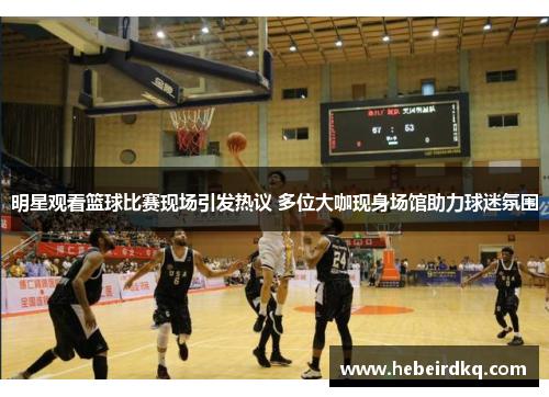 明星观看篮球比赛现场引发热议 多位大咖现身场馆助力球迷氛围