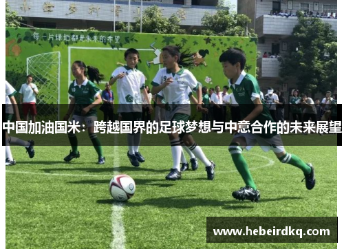 中国加油国米：跨越国界的足球梦想与中意合作的未来展望