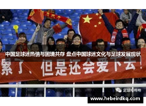 中国足球迷热情与困境共存 盘点中国球迷文化与足球发展现状
