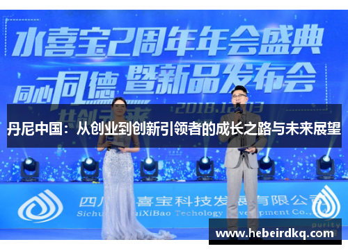 丹尼中国：从创业到创新引领者的成长之路与未来展望